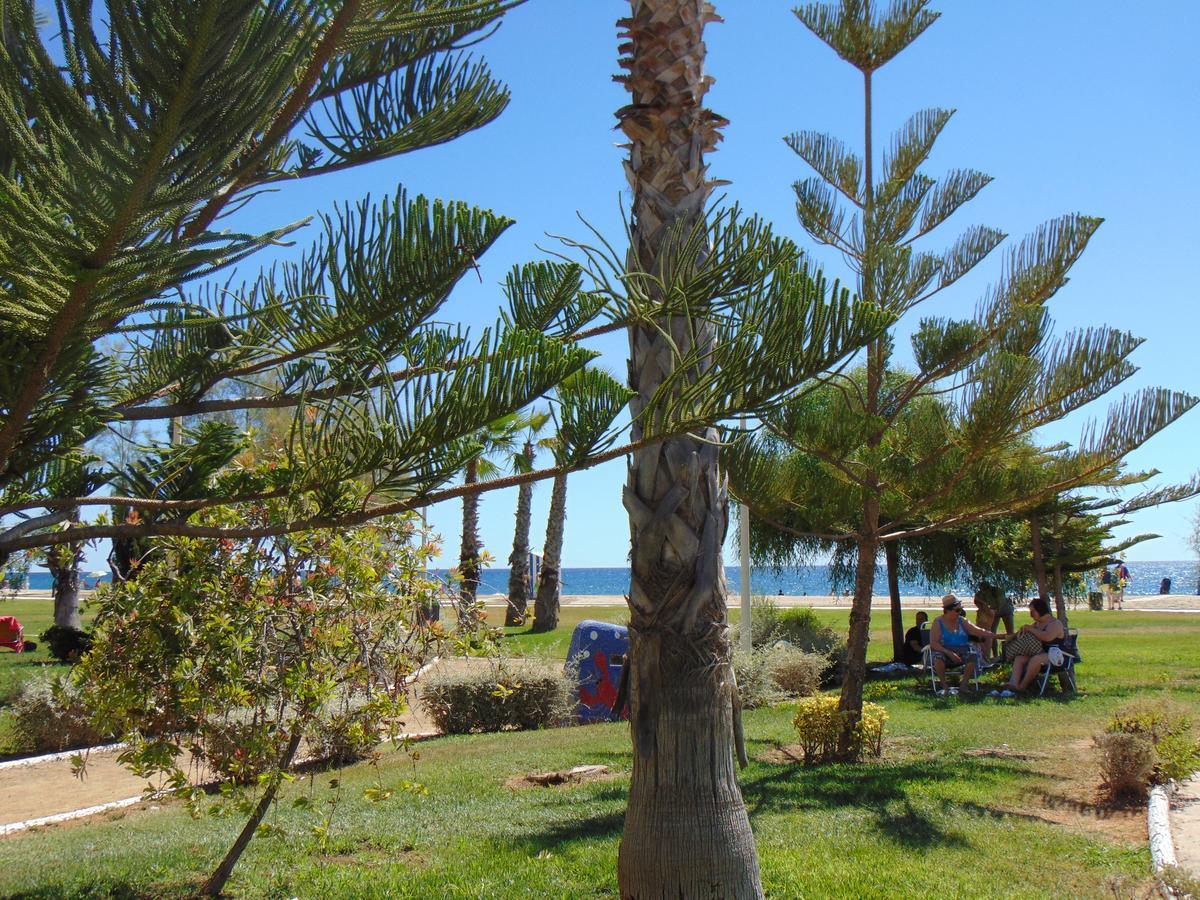 Apartamentos Varios Con 2 Dorm En Marina Dor , La Playa De Amplaries 47 , Vista Lateral Al Mar オロペサ・デル・マール エクステリア 写真